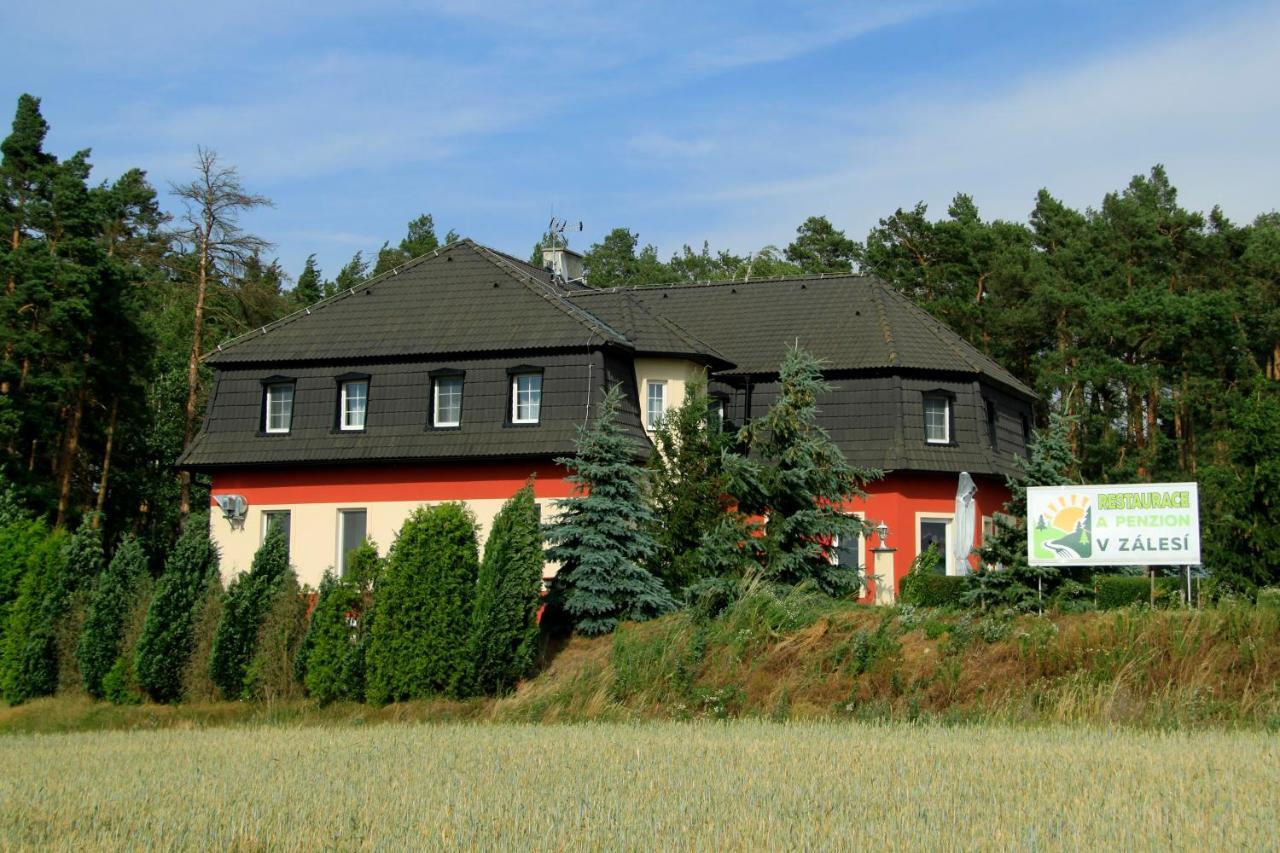 Penzion V Zalesi Hotel Mladá Boleslav Buitenkant foto